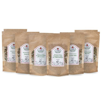 Zestaw OCZYSZCZAJĄCY ORGANIZM duży - 12 herbat - ZIOŁOWY DETOX - oczyszczanie z toksyn ziołami - Program D6