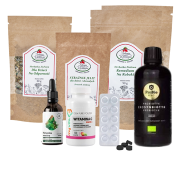 Zestaw WSPARCIE ODROBACZANIA DZIECI II