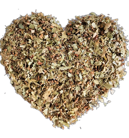 Lipa Drobnolistna, 100 g
