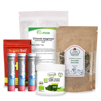 Zestaw WSPARCIE ODKWASZANIA ORGANIZMU