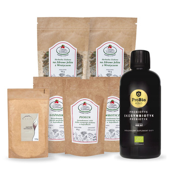 Zestaw WSPARCIE HARMONIA JELITOWA FORTE