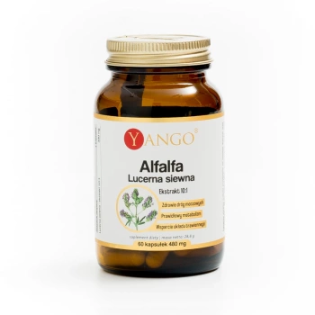Alfalfa Lucerna Siewna, 60 kaps. vege - Yango