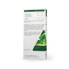 Bacopa (Brahmi) Forte 250 mg, 60 kaps. - Medica Herbs 