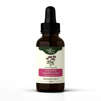 Jeżówka wąskolistna, 50 ml - Magiczny Ogród