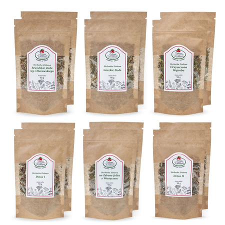 Zestaw OCZYSZCZAJĄCY ORGANIZM duży - 12 herbat - ZIOŁOWY DETOX - oczyszczanie z toksyn ziołami - Program D6