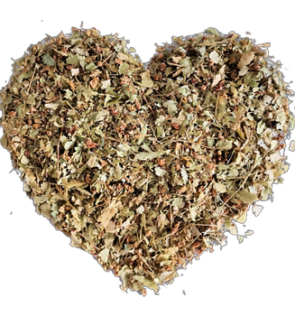 Lipa Drobnolistna, 100 g