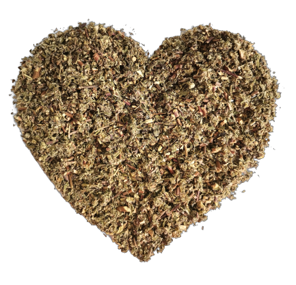 Bylica Pospolita, 50 g