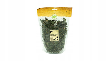 Podagrycznik Pospolity, 100g - Astron