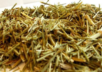 Skrzyp Polny Ziele, 50 g