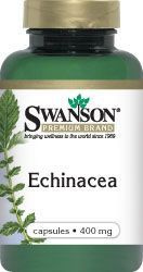 Echinacea - suplement diety