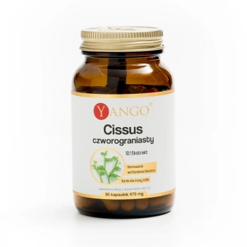 Cissus Czworograniasty, 90 kaps. vege - Yango