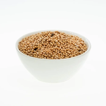 Gorczyca Biała Ziarno, 40 g