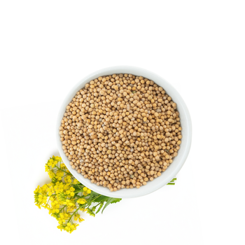 Gorczyca Biała Ziarno, 40 g