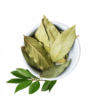 Liść Laurowy, 10 g