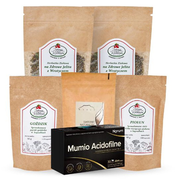 Zestaw WSPARCIE HARMONIA JELITOWA BASIC