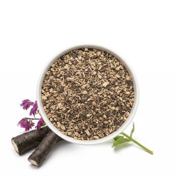 Żywokost Lekarski Korzeń, 100 g