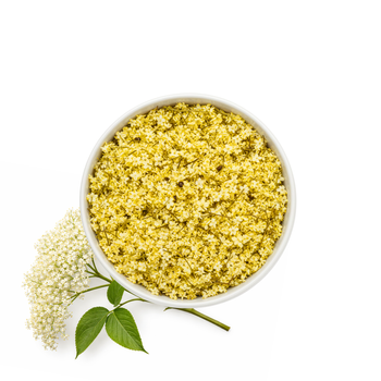 Czarny Bez Kwiat, 50 g