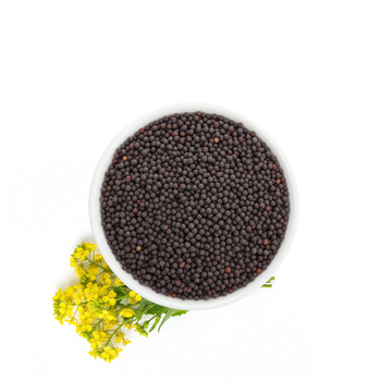 Gorczyca Czarna Ziarno, 40 g