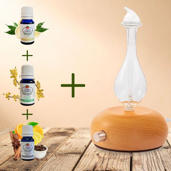 Dyfuzor + 3 olejki - cytrynowy, cubeba i ,,Zdrowa Zima” 10 ml GRATIS